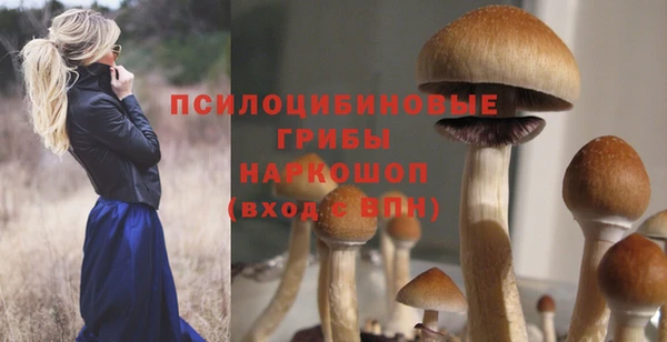 бошки Алексин