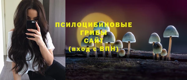 бошки Алексин