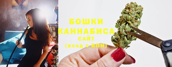 бошки Алексин