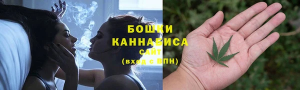 бошки Алексин