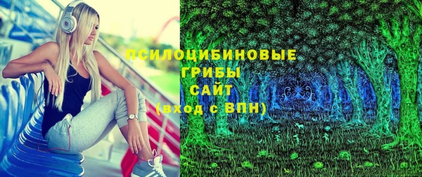 бошки Алексин