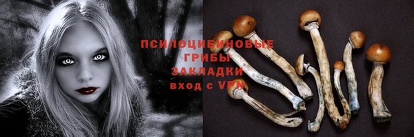 бошки Алексин