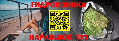 spice Кунгур
