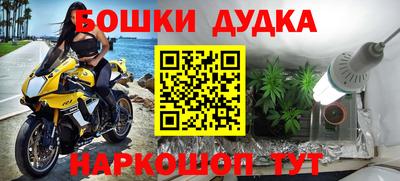 spice Кунгур