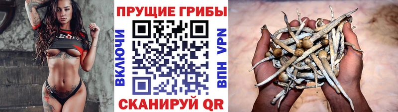 Псилоцибиновые грибы мухоморы  MEGA   Кыштым 