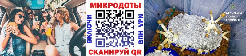 Псилоцибиновые грибы Cubensis Кыштым