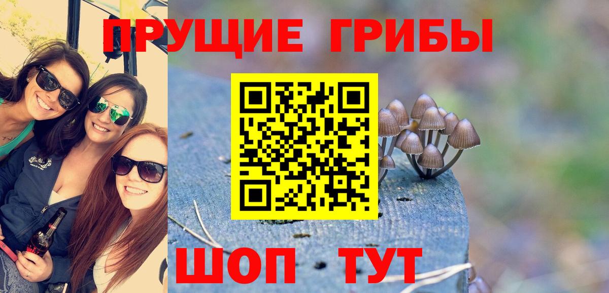 Галлюциногенные грибы Psilocybine cubensis  Галлюциногенные грибы Psilocybe  Вход с VPN  Кыштым 